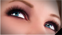 La beauté du regard